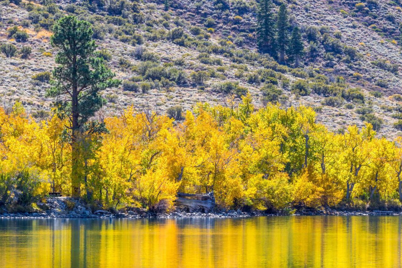 June Lake Motel Εξωτερικό φωτογραφία